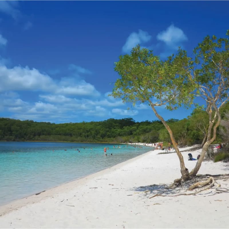 K'gari/Fraser Island Adventure Tour - Sunshine Coast or Noosa Pickup