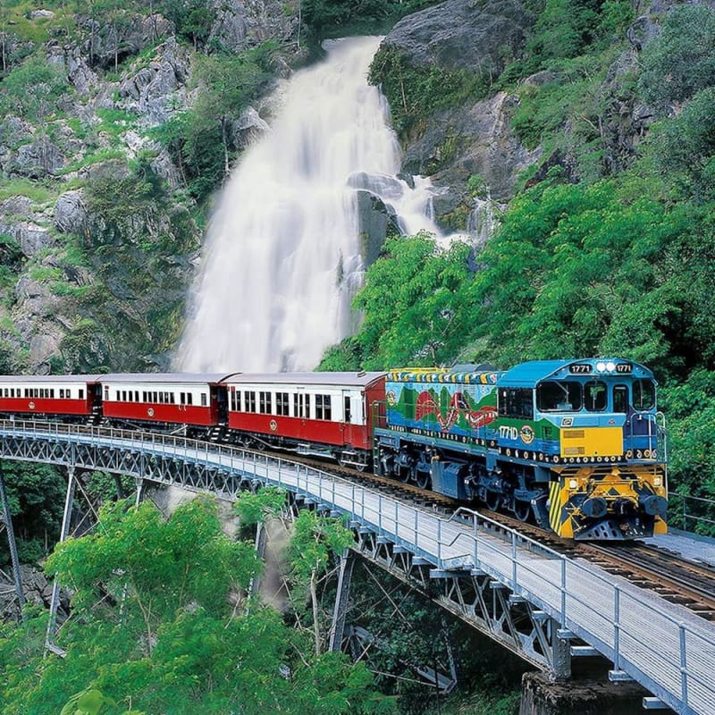 Kuranda Rainforest Experience (departure from Freshwater Station)