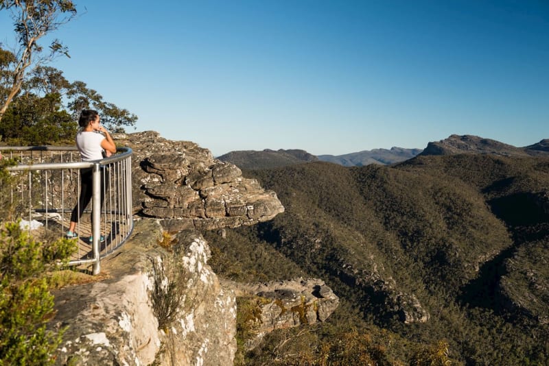 Grampians National Park Wildlife Tour