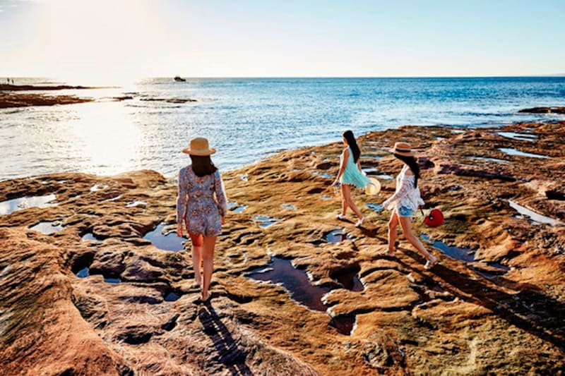 'Coastal Loop' Monkey Mia Return to Perth