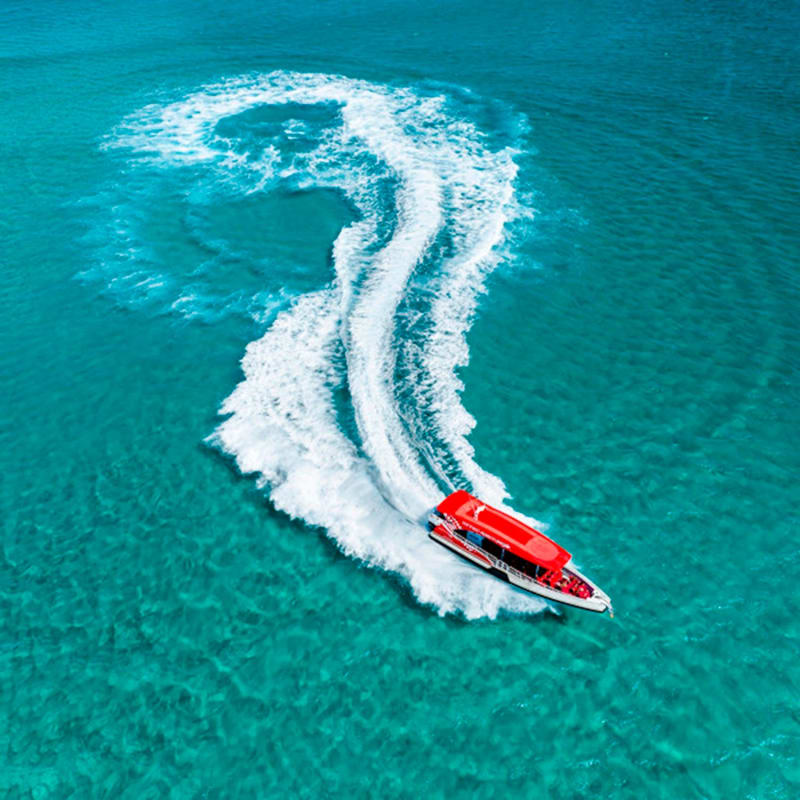 Adventure Rottnest Tour & Frankies Lunch (ex Perth)