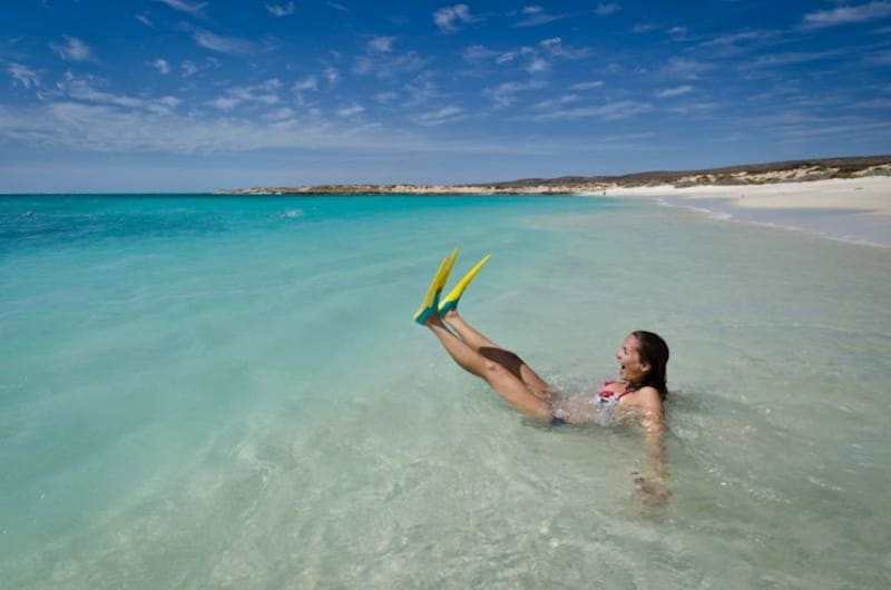 Perth to Ningaloo Reef & Return