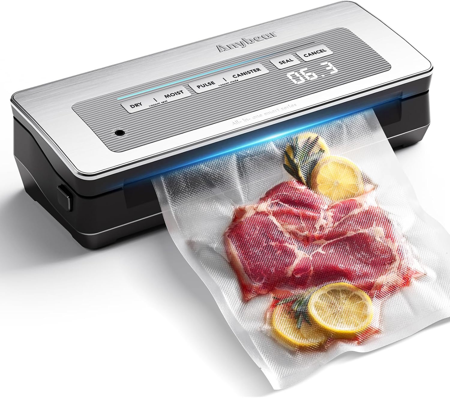 Smart Suction DQ Anybear Dashing Quick