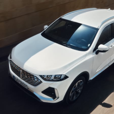 DirectLease GWM Wey 03 Leasing