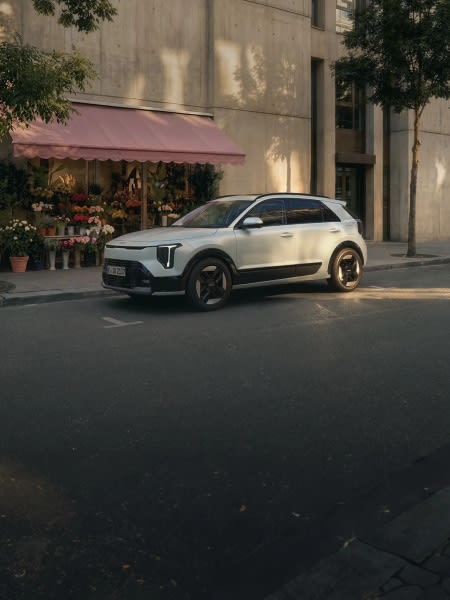 Kia Niro occasion private lease | Private Lease van DirectLease