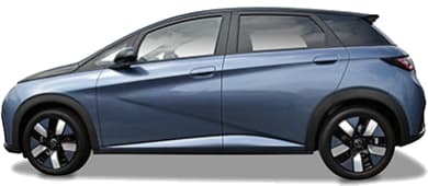 BYD Dolphin leasen - DirectLease