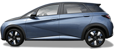 BYD Dolphin leasen - DirectLease