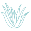 Features Forever pure inner leaf aloe vera gel 
