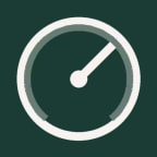 WordPress Speed Optimization Service logo