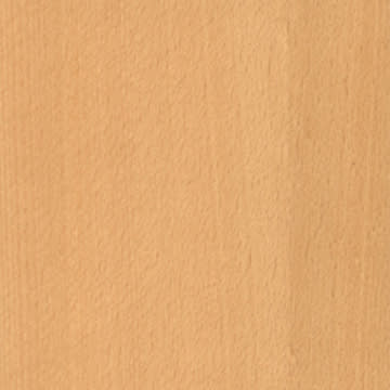 Beech