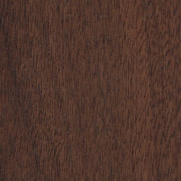 Hawk Walnut