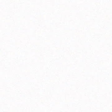 NuWhite