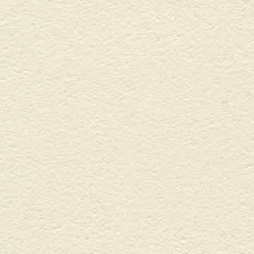 Solo