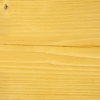 Tupelo Honey