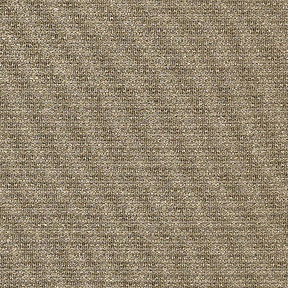 Barley