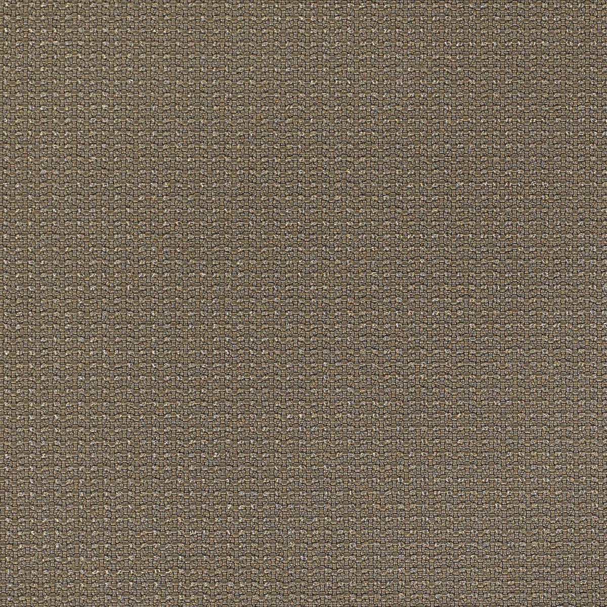 Pumice