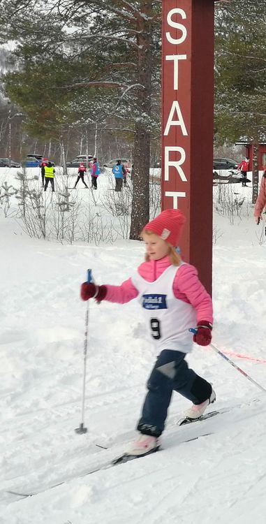 Illustasjonsbilde for Ski