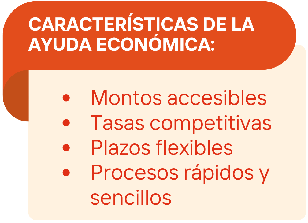 Características ayuda económica