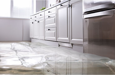 Water, Flood & Sewer Backup