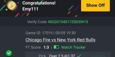 Two Winning Tickets, ₦72,246 Returned — SureCodes24 Codes Delivered Last Weekend