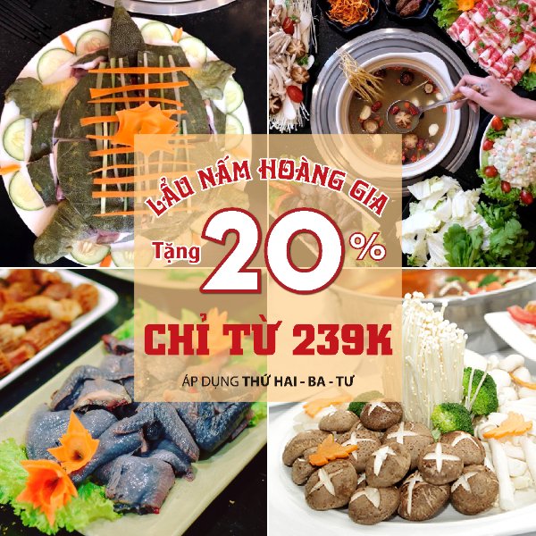 lẩu nấm hoàng gia hà đông