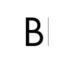 Bibloo