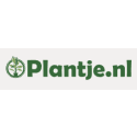 Plantje