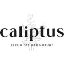 Caliptus