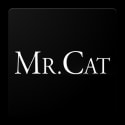 Mr. Cat