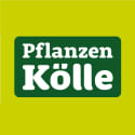 Pflanzen Kölle