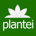 Plantei