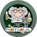 Professor.nl