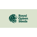 Royal Queen Seeds
