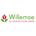 Willemse