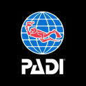 Padi