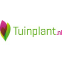 Tuinplant