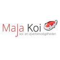 Maja Koi