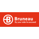 Bruneau