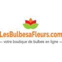 Les Bulbes à Fleurs