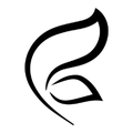 Flycurvy logo