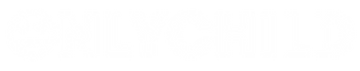 ONLY CHILD STORE logo