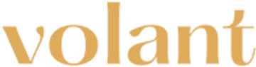 Volanta Roma logo