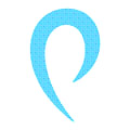 Proozy Coupons Logo