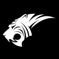 Tiger Music Vouchers