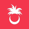 Palmy Pineapple Coupons Logo