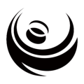 Road Angel Coupons Logo