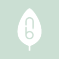 Natural Baby Shower Vouchers
