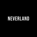 Neverland Store logo