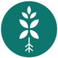 Bloombox Club Coupons Logo