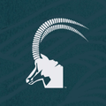Sable Flow logo